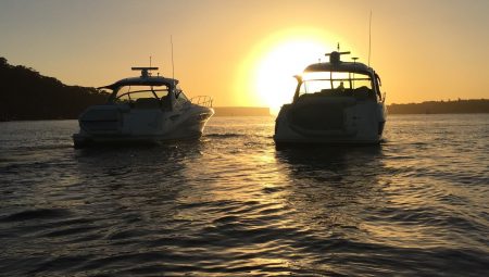 IMG_6466-450x255